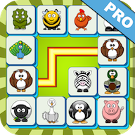 Onet Connect Pro